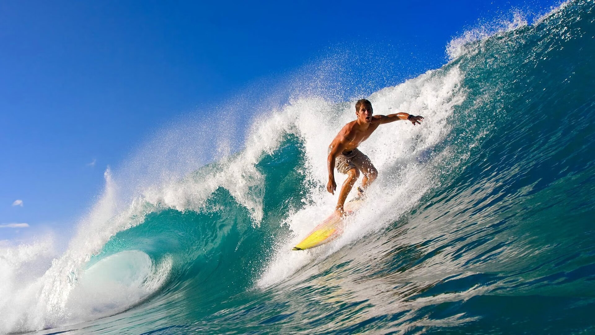 塔图姆爆发，辽宁队强势晋级雄鹿，跨界竞技的想象与启示